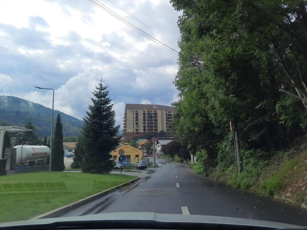 Apartament Erika Синая Экстерьер фото