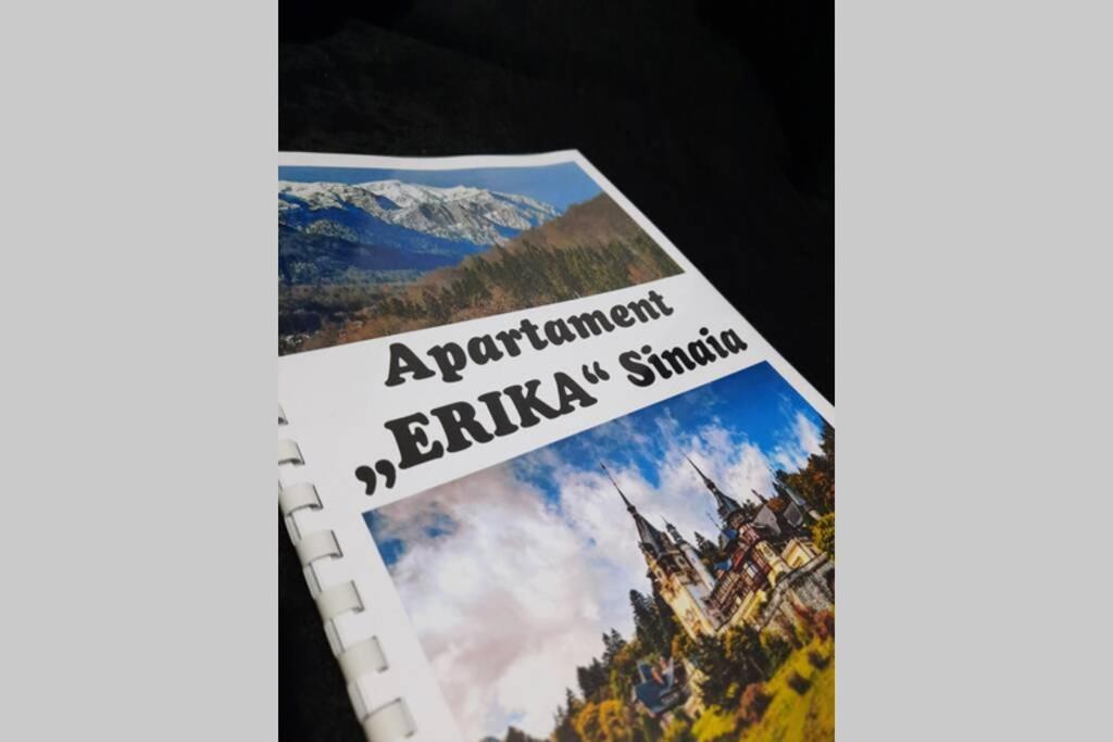 Apartament Erika Синая Экстерьер фото