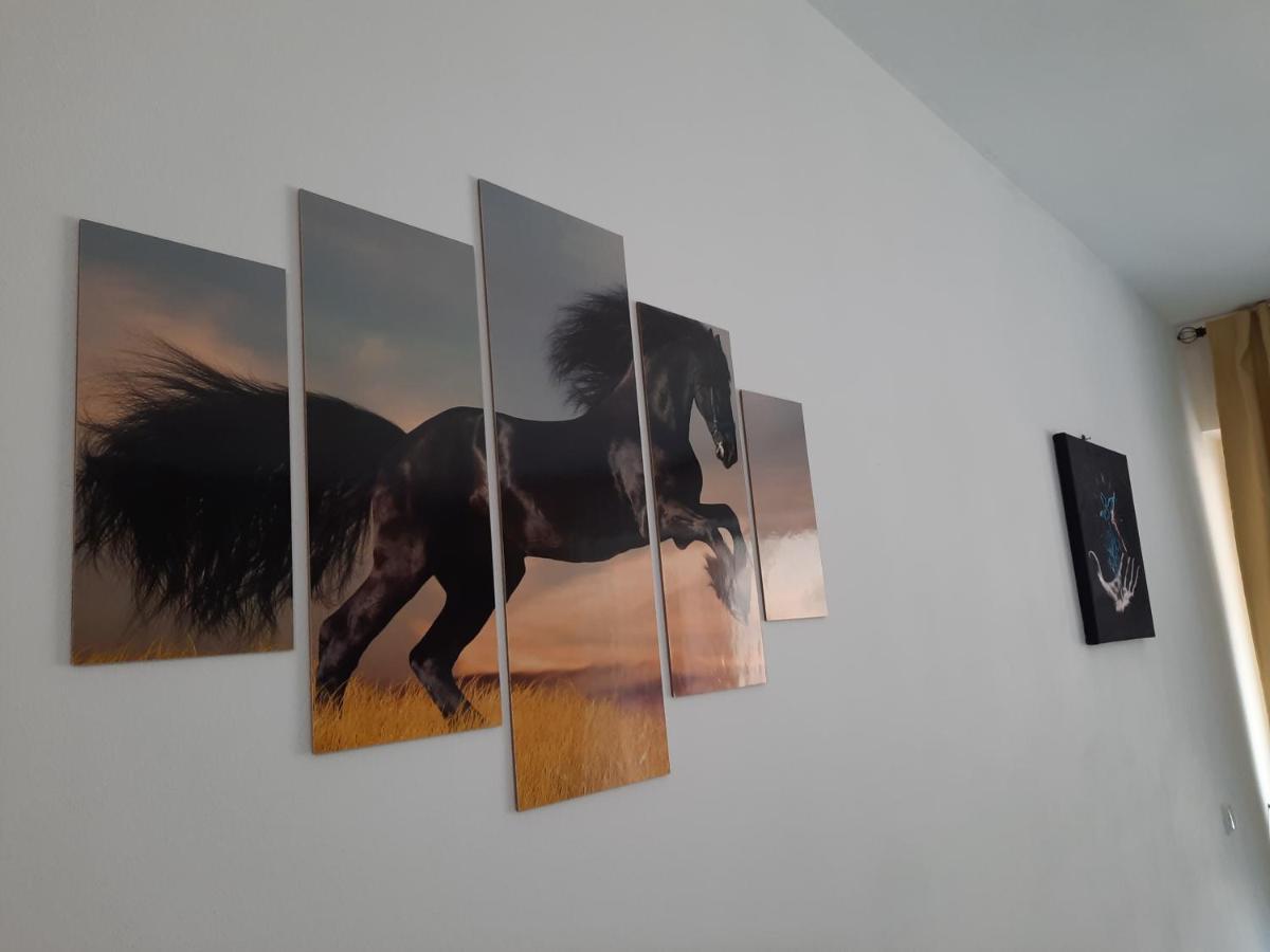 Apartament Erika Синая Экстерьер фото