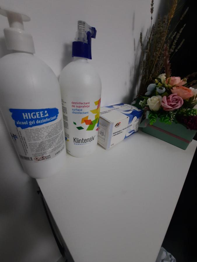 Apartament Erika Синая Экстерьер фото