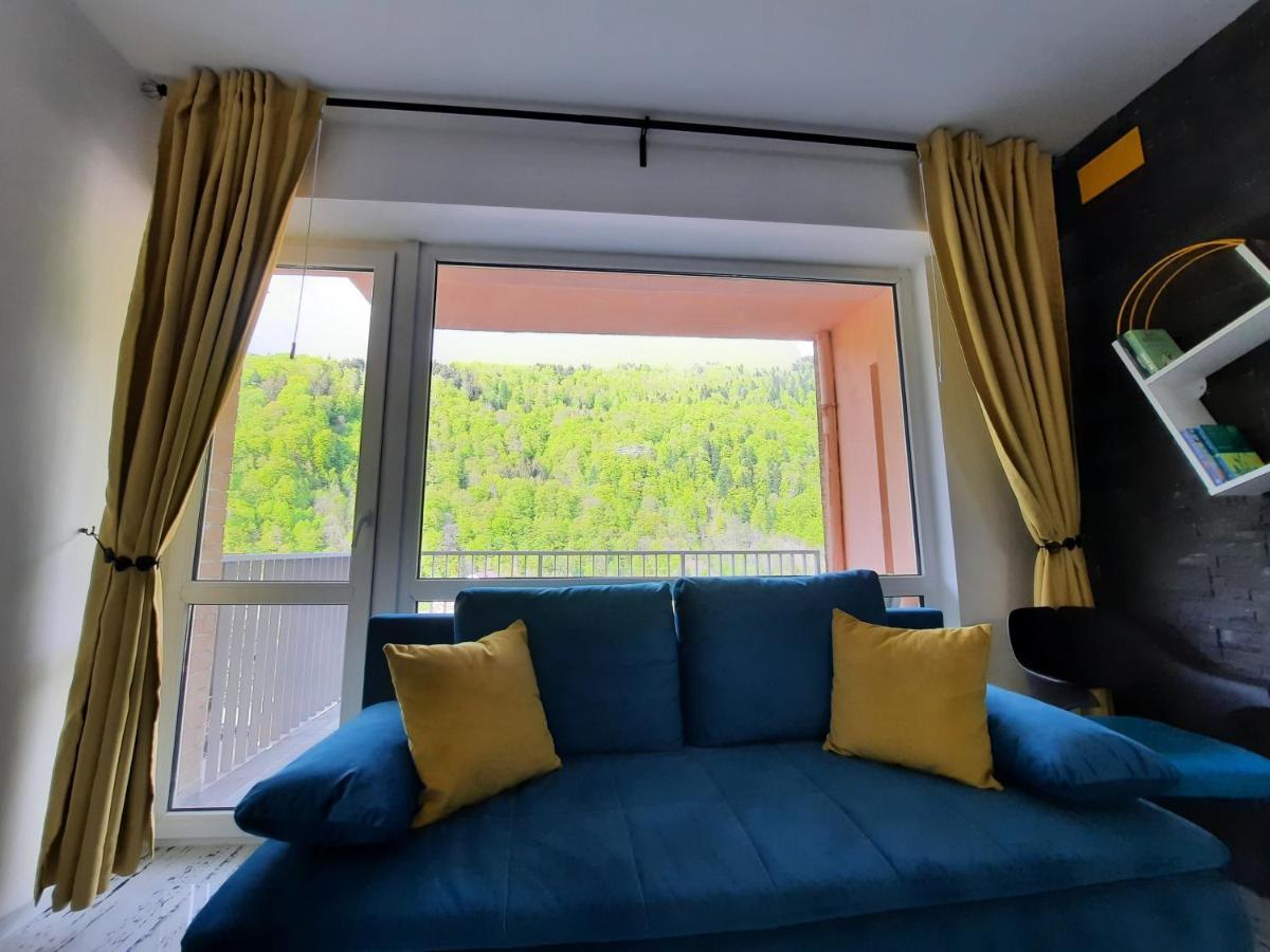 Apartament Erika Синая Экстерьер фото