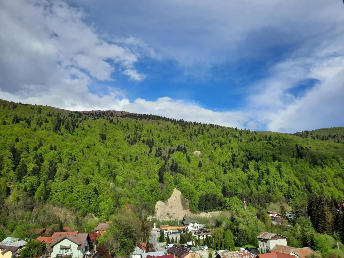 Apartament Erika Синая Экстерьер фото
