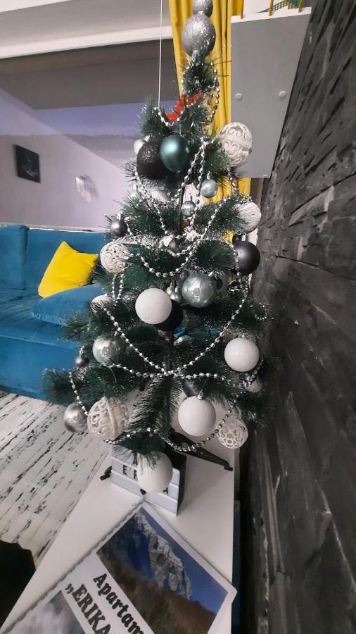 Apartament Erika Синая Экстерьер фото