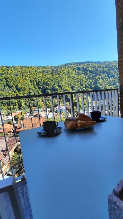 Apartament Erika Синая Экстерьер фото