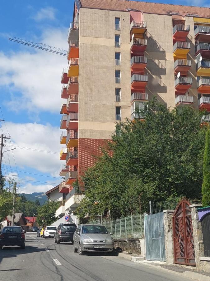 Apartament Erika Синая Экстерьер фото