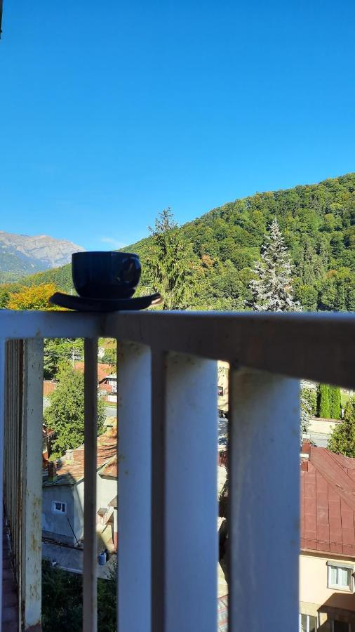 Apartament Erika Синая Экстерьер фото