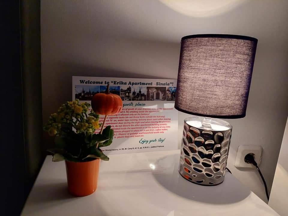 Apartament Erika Синая Экстерьер фото